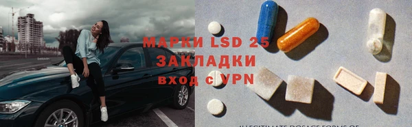 сатива Нефтекумск