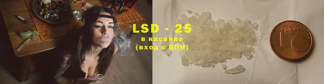 сатива Нефтекумск